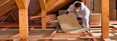 Best Spray Foam Insulation  in Indian Lake, TX