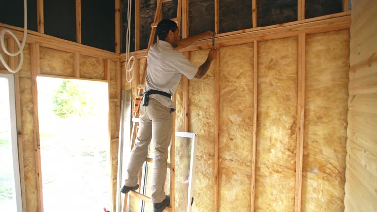 Best Garage Insulation  in Indian Lake, TX