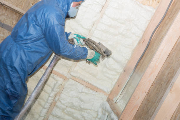 Best Blown-In Insulation  in Indian Lake, TX